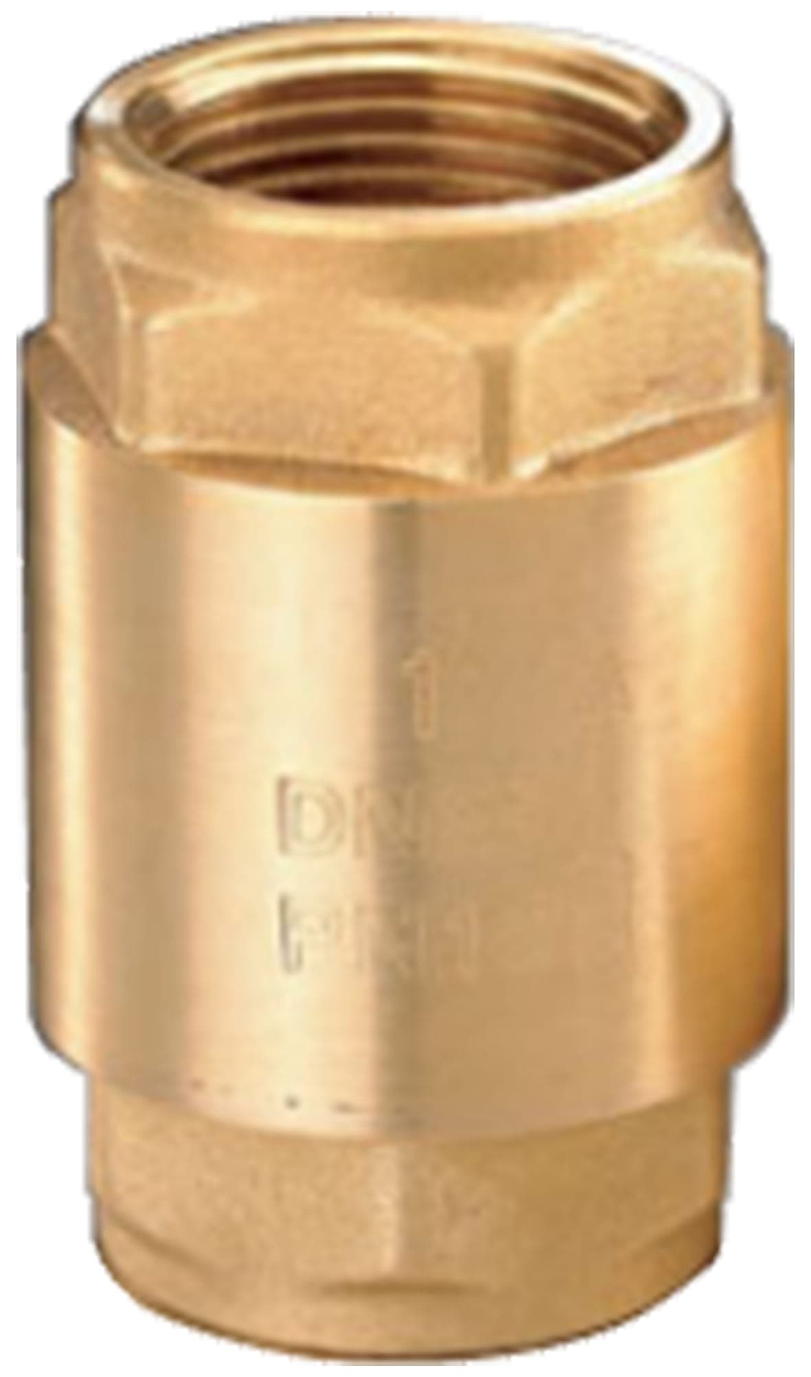 Altech Backventil - Mässing G40 PN18 | Ventiler Backventiler | RSK 4950832